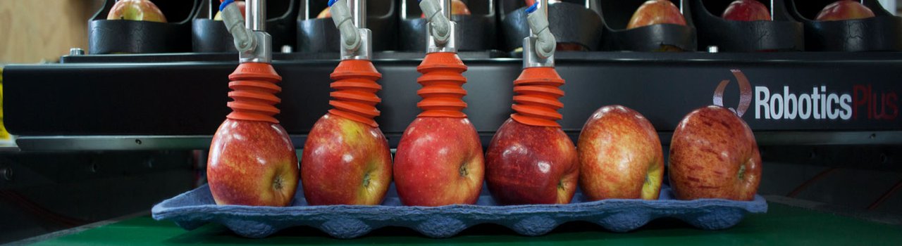 apples