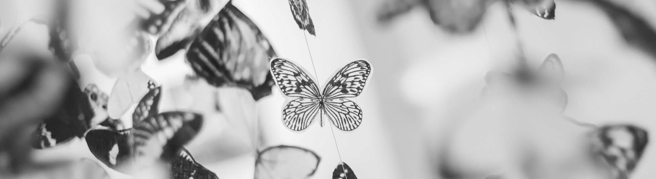 Butterflies