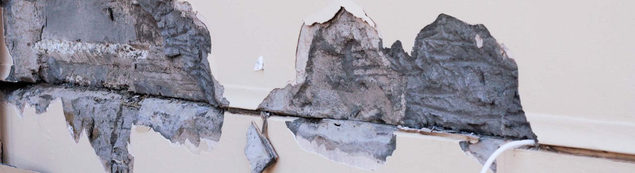 Earthquake damage Wellington