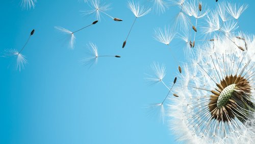 EG21_Wind_Banner