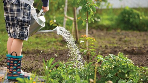Gardening_SS604815971.jpg