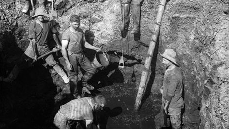 Kauri Gum Mining