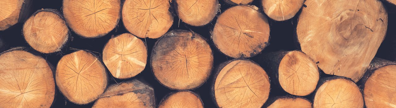 NZ Wood