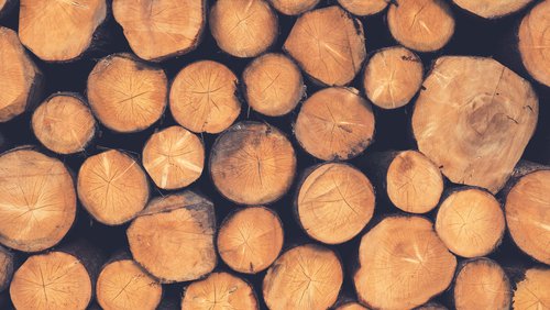 NZ Wood