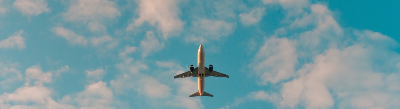 Plane - immigration