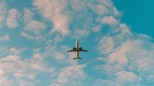 Plane - immigration
