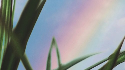 RSIG Banner (1)