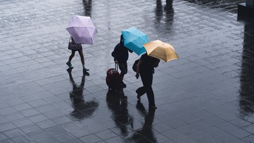 Rain