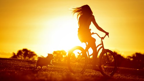 Solar-Energy_Banner-Image