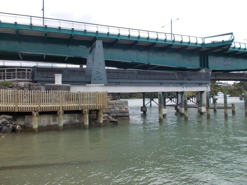 Tamaki river bridge
