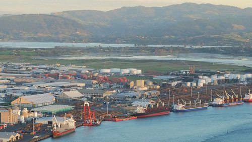 Tauranga Branch