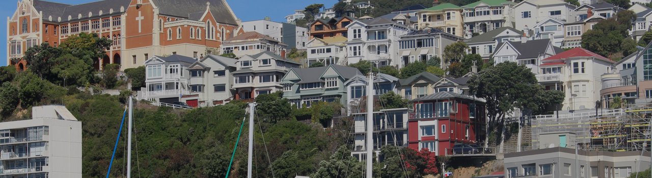 Wellington - News and insights - header