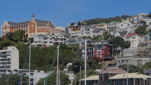 Wellington - News and insights - header