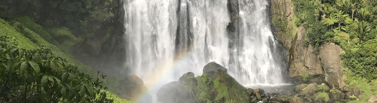 waikato