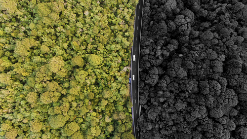 Feature_Carbon Neutral_iStock-1006002976_RGB.jpg