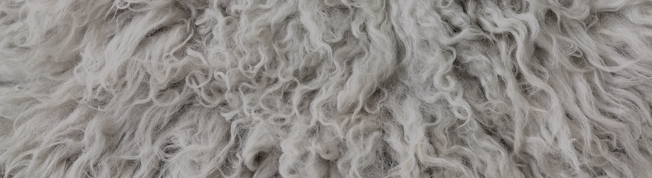 Wool