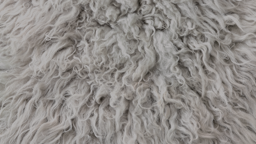 Wool
